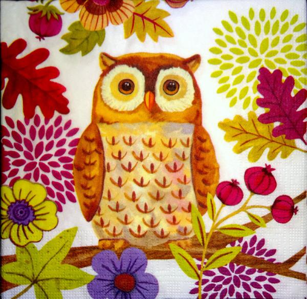 102 Owls - 3-ply (weiß) - ppd - Jennifer Brinley / Levison